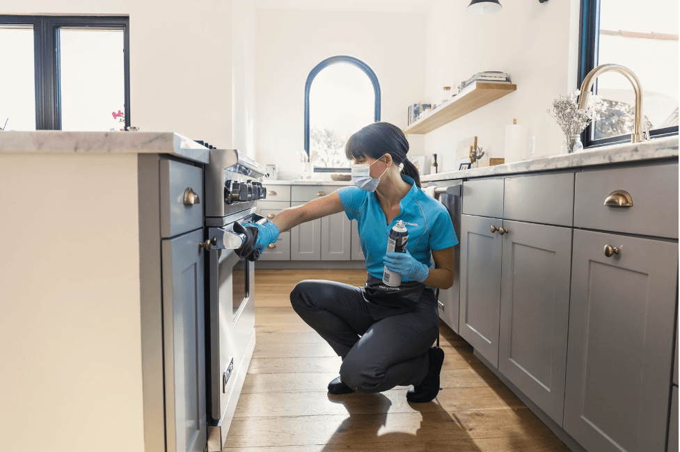 Content image for Tips for Maintaining Cleaning Appliances to Prevent Damage and Stay Effective