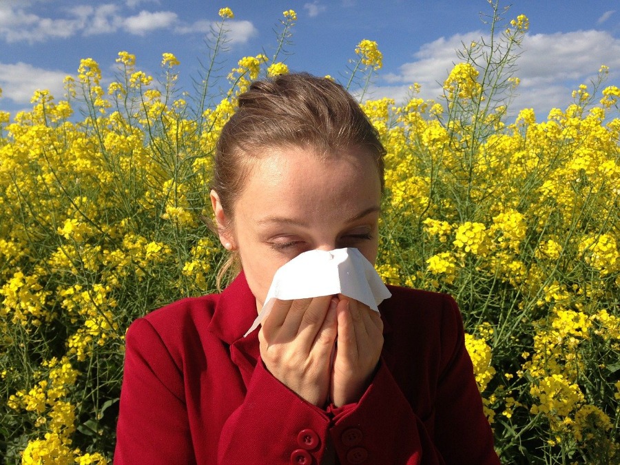 Featured image for Allergy-Proof Your Home: Effective Cleaning Tips for Allergy Sufferers