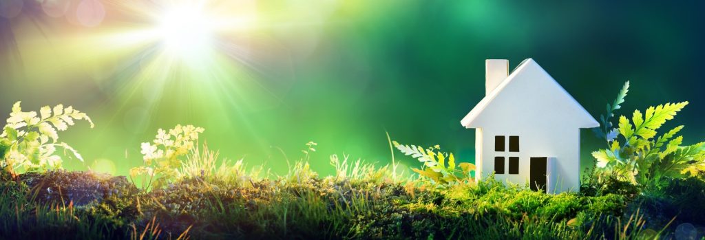 Content image for Sustainable Home Improvement: Eco-Friendly Construction Choices