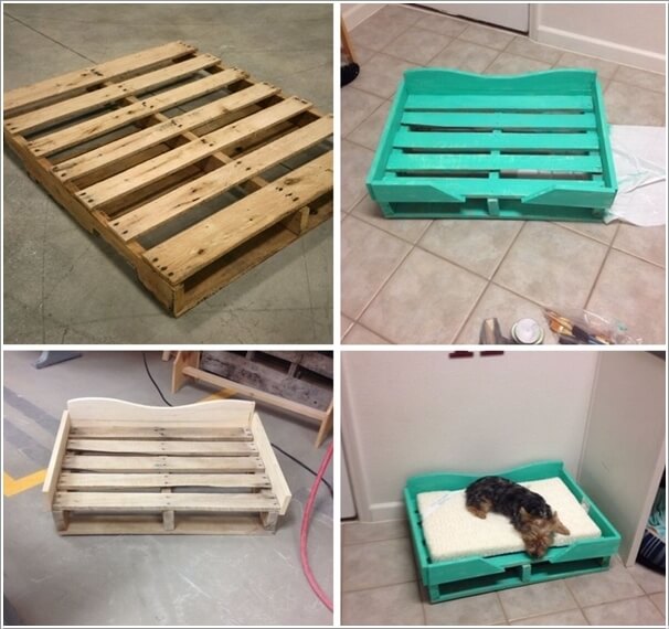 Featured image for Pamper Your Pets: Creative DIY Projects for Your Furry Friends