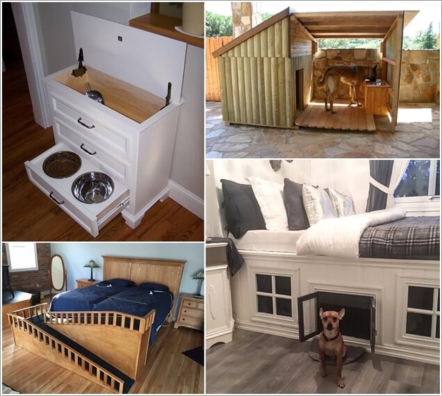 Content image for Pamper Your Pets: Creative DIY Projects for Your Furry Friends