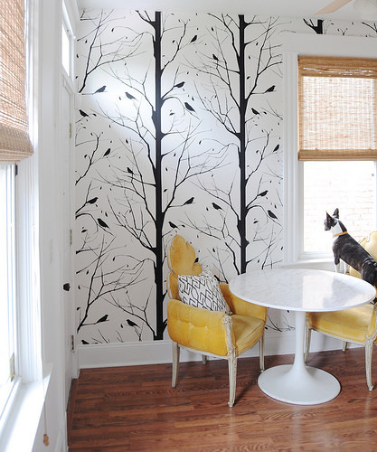 Featured image for Painting Power: Transform Your Home with Simple DIY Painting Techniques