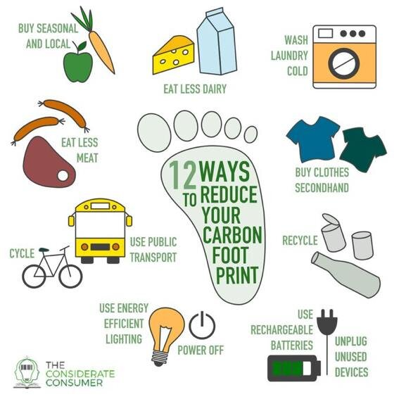 Content image for Lower Your Carbon Footprint: Energy Home Improvement Strategies
