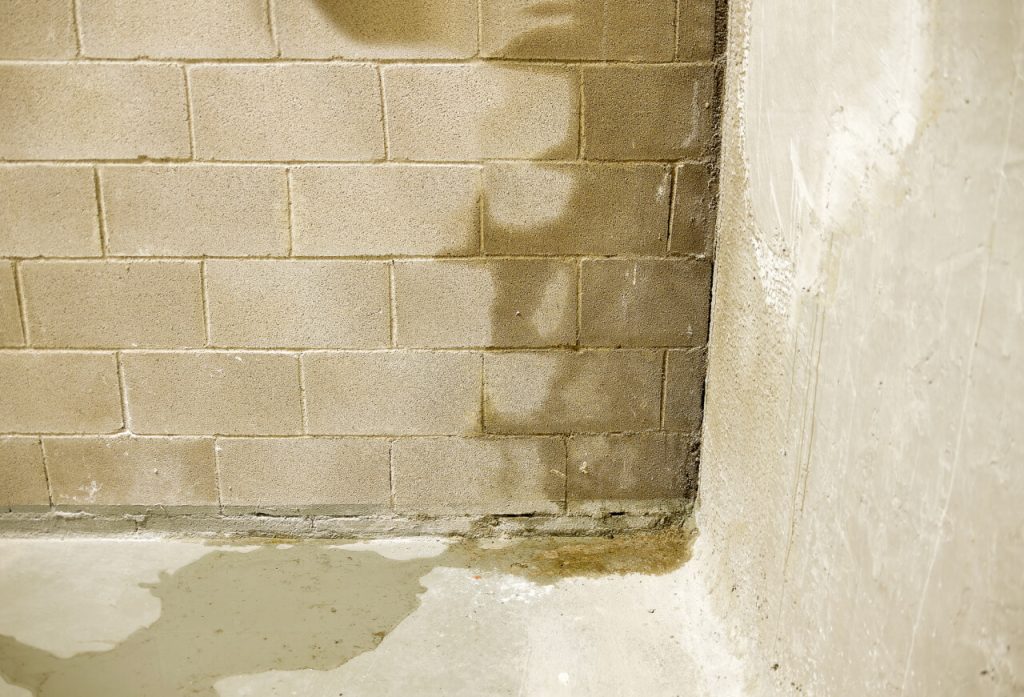 Content image for Water in Your Basement? Foundation Home Improvement for a Dry Space