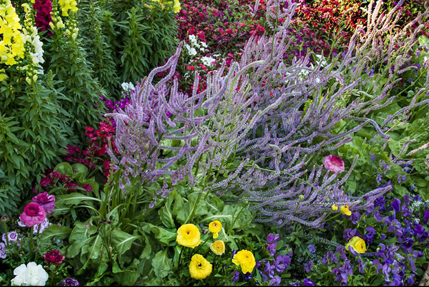 Content image for Bloom Beautifully: Creating a Stunning Flower Garden at Home