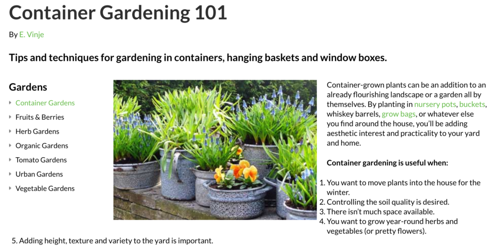 Content image for Container Gardening 101: Everything You Need to Know to Get Started