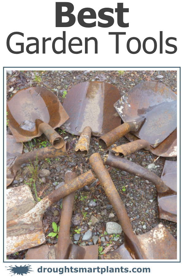 Featured image for The Best Garden Tools You Need (and Which You Can Skip)