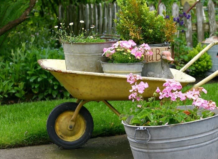 Content image for Transform Your Home into an Eco-Friendly Haven: A Green Living Guide