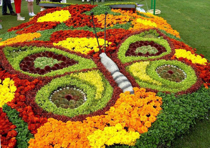 Content image for Designing a Butterfly and Bee-Friendly Garden
