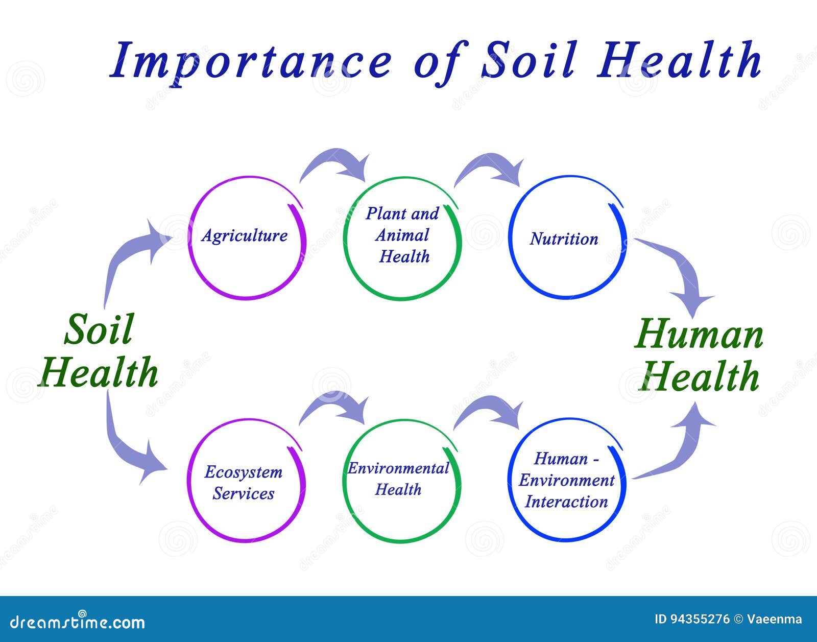 Featured image for The Importance of Soil Health in Your Garden