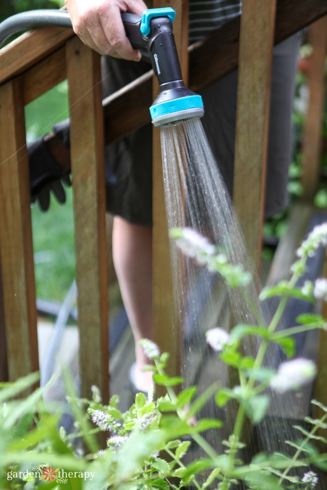 Content image for Efficient Watering Techniques for a Healthy Garden