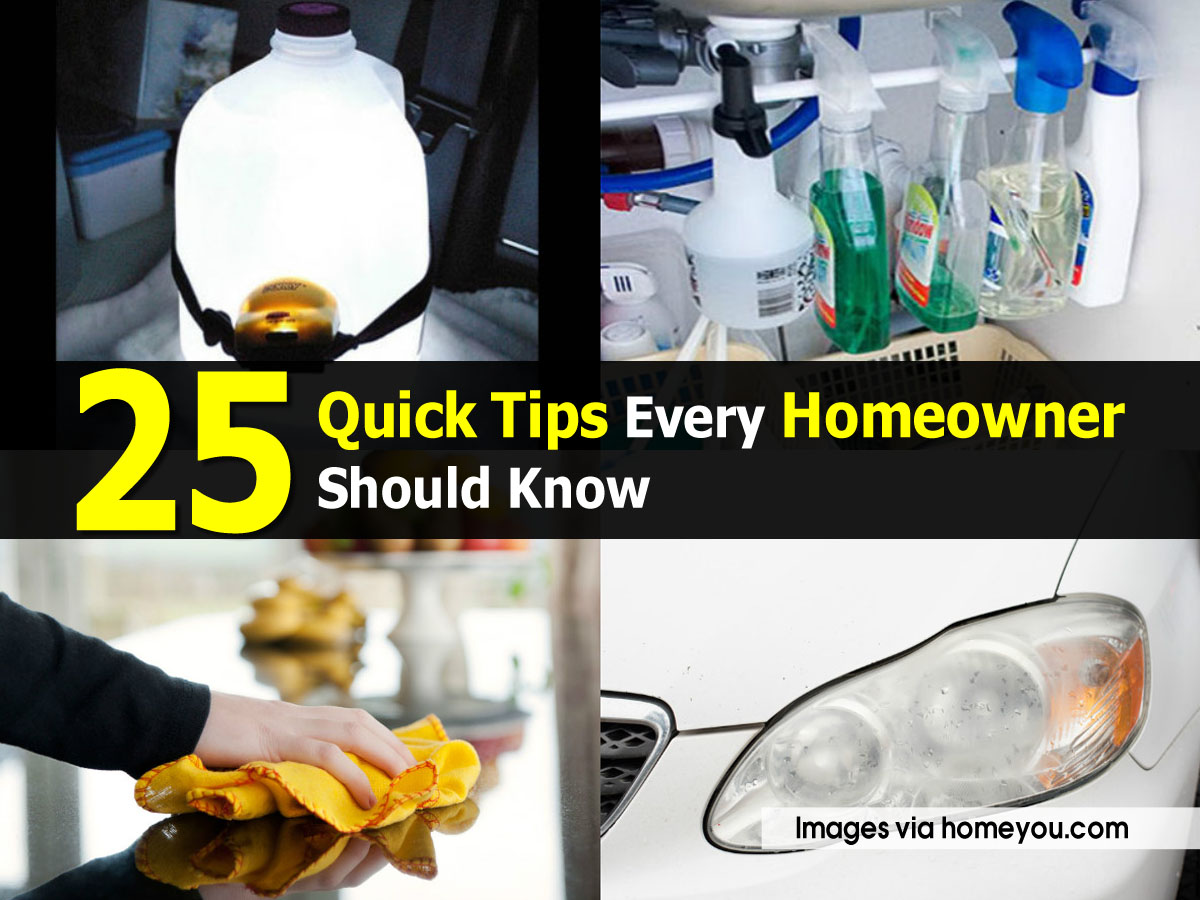 Featured image for DIY Home Tips Every Homeowner Should Know