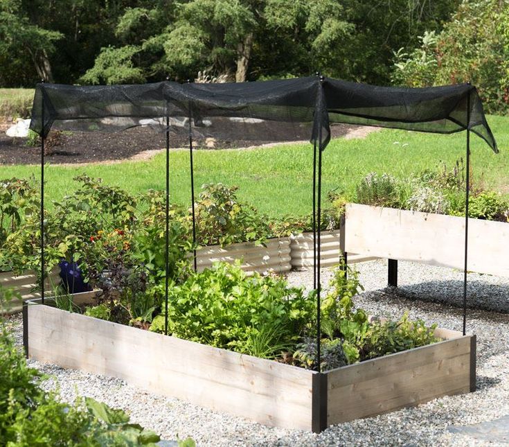 Content image for Extending Your Garden Season for Year-Round Harvests