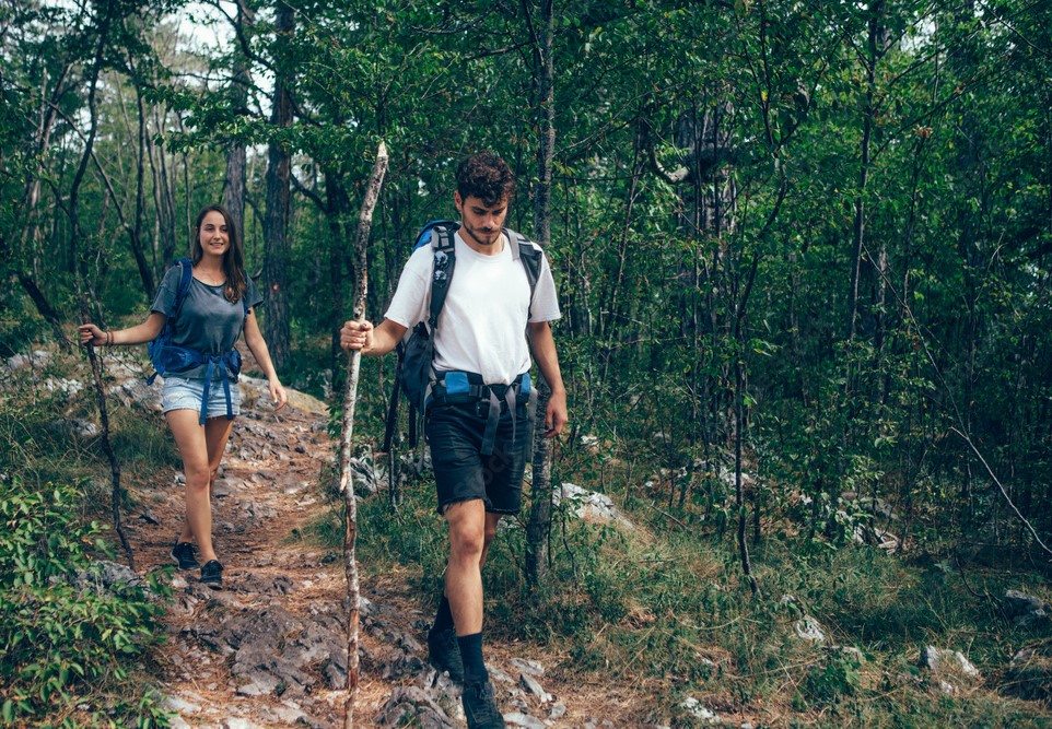 Featured image for The Health Benefits of Embracing a Green and Natural Lifestyle