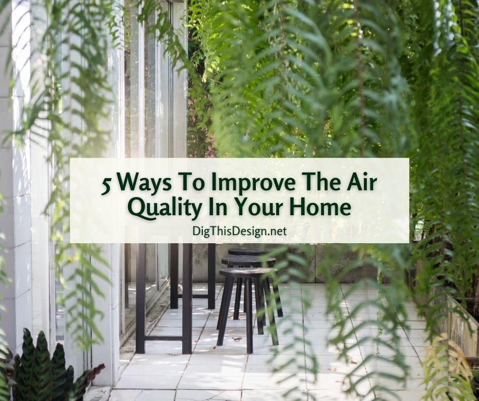 Featured image for Home Tips for Improving Air Quality and Your Health