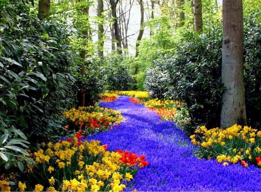 Featured image for Lawn Care Secrets: Tips for a Lush and Healthy Yard