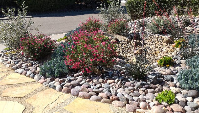 Featured image for Water-Wise Landscaping: Xeriscaping for a Sustainable Yard