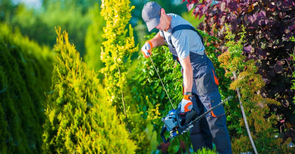Content image for Finding the Best Landscaping Contractors Near You