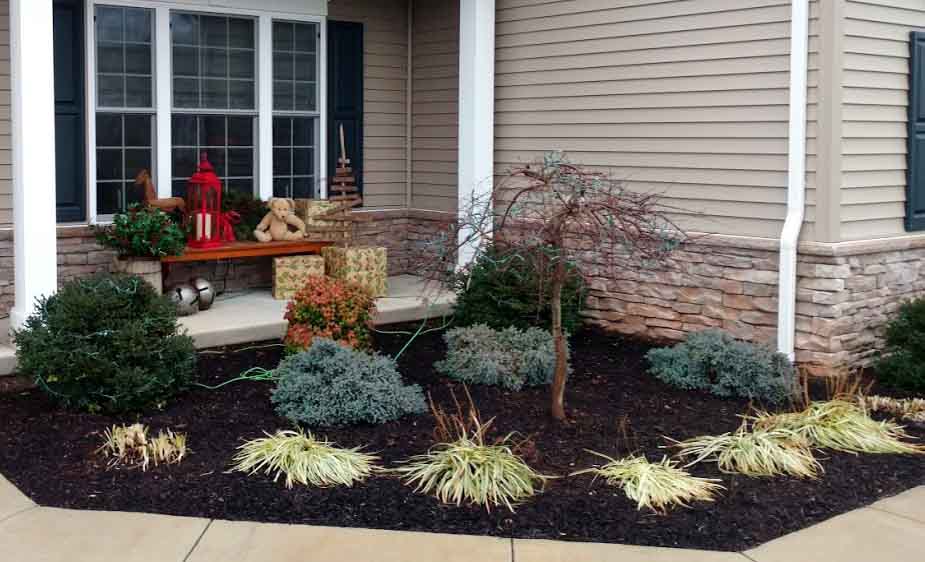 Featured image for Landscaping for Beginners: Easy Outdoor Improvement Tips