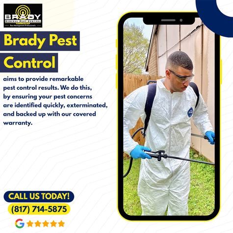 Content image for When to Call a Professional: Choosing the Right Pest Control Service