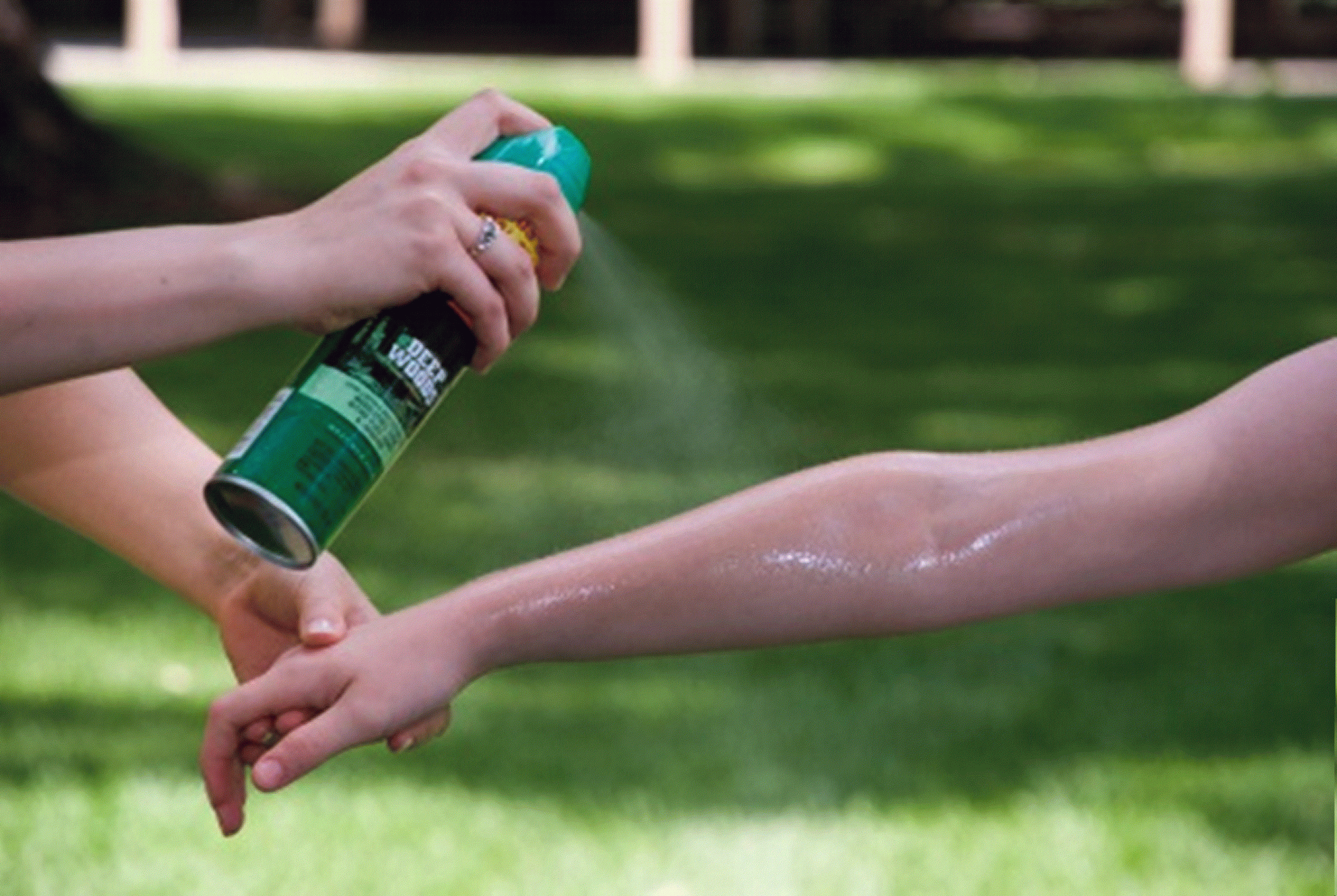 Featured image for Mosquito Control: Protecting Your Family from Bites and Diseases