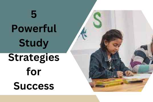 Content image for Organization for Students: Strategies for Academic Success