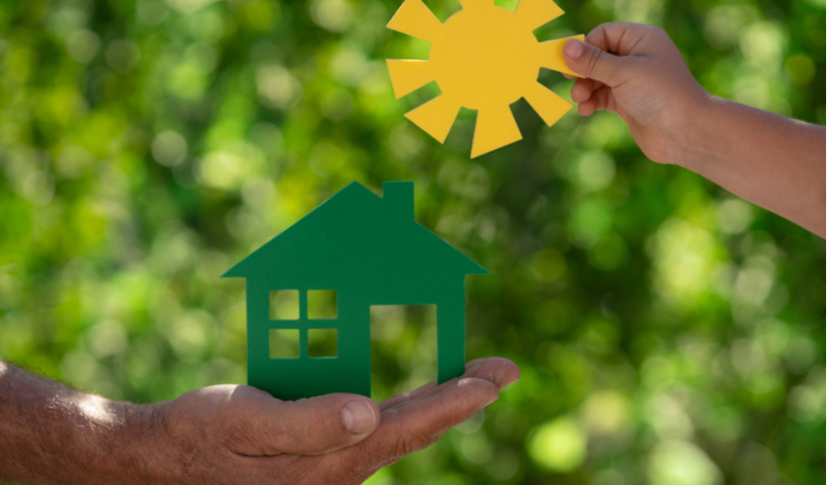 Featured image for Sustainable Home Renovation: Eco-Friendly Choices for a Greener Home