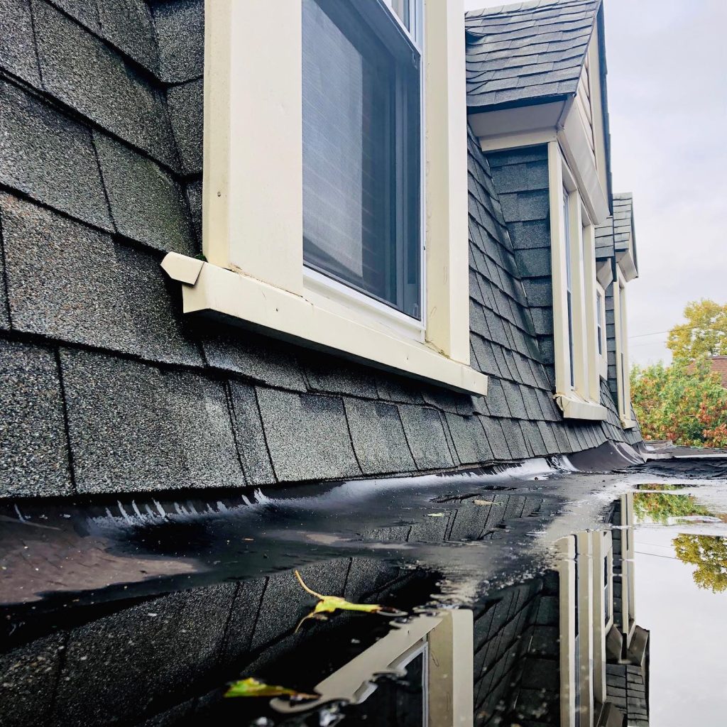 Content image for Dealing with Roof Leaks: Identification, Temporary Fixes, and Repair Options